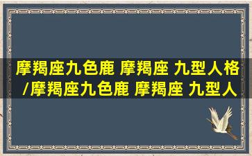 摩羯座九色鹿 摩羯座 九型人格/摩羯座九色鹿 摩羯座 九型人格-我的网站